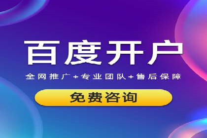 SEM投放策略：成功案例解析